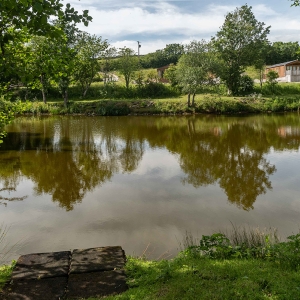 Redwell   17 06 2020   D500   Les 424.jpg